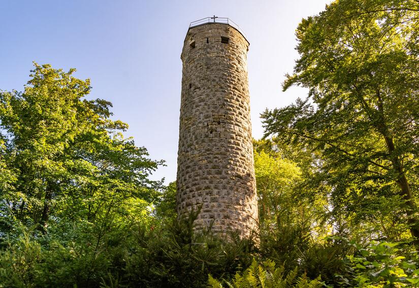 der Wallenburger Turm ragt zwischen Bäumen hervor