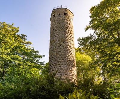 der Wallenburger Turm ragt zwischen Bäumen hervor