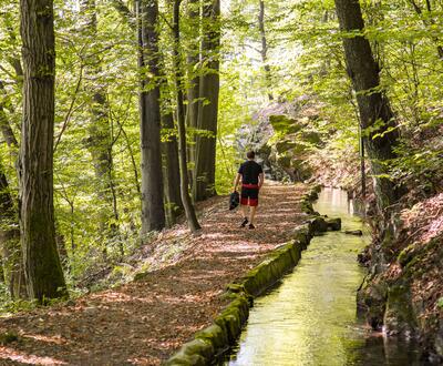 Wanderer im Wald entlang des Bachlaufes