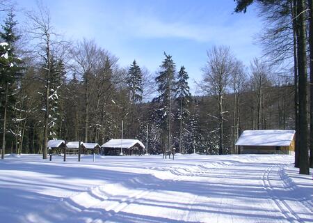 Wald mit Hütte im Winter