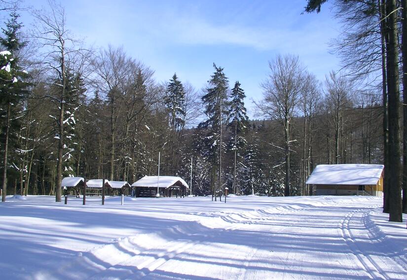 Wald mit Hütte im Winter