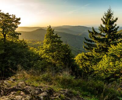 Ausblick in die Natur